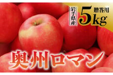 【先行予約】令和6年産 りんご 奥州ロマン 贈答用 5kg 岩手県 金ケ崎町産 10月中旬発送予定