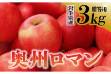 【先行予約】令和6年産 りんご 奥州ロマン 贈答用 3kg 岩手県 金ケ崎町産 10月中旬発送予定