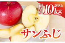 【先行予約】令和6年産 りんご サンふじ 訳あり 10kg  岩手県 金ケ崎町産 12月上旬発送開始