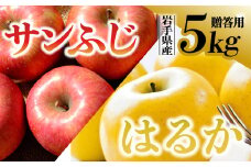 【先行予約】令和6年産 りんご サンふじ×はるか 贈答用 5kg（計16個程度） 岩手県 金ケ崎町産 12月上旬発送予定