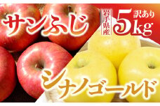 【先行予約】令和6年産 りんご サンふじ×シナノゴールド 訳あり 5kg 岩手県 金ケ崎町産 12月上旬発送開始