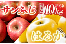 【先行予約】 りんご サンふじ×はるか 訳あり 10kg 岩手県 金ケ崎町産 12月上旬発送予定