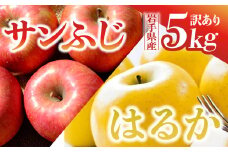 【先行予約】 りんご サンふじ×はるか 訳あり 5kg 岩手県 金ケ崎町産 12月上旬発送予定