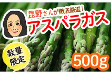 【数量限定】金ケ崎町の名産アスパラガス 500g 野菜 春野菜 新鮮 名産 名品 冷蔵 ギフト 2024