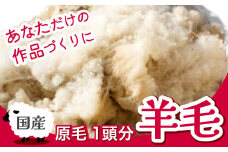 【先行予約】国産 羊毛 原毛 ( 一頭分 2〜3kg ) フリース フェルト クラフト ホームスパン 期間限定 2026年4月以降発送