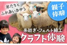 【クラフト体験】羊毛 フェルト 体験 親子 セット ひつじ ふれあい 写真 撮影