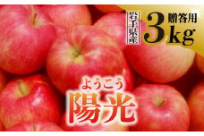【先行予約】令和6年産 りんご 陽光 ようこう 贈答用 3kg 岩手県 金ケ崎町産【令和6年10月上旬から順次発送】