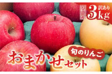 《先行予約》令和6年産 りんご 訳あり 3kg 品種おまかせ 2種類以上 【 サンふじ はるか シナノゴールド 奥州ロマン 王林 陽光 】【令和6年11月下旬以降順次発送】