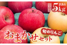 《先行予約》令和6年産 りんご 訳あり 5kg 品種おまかせ 2種類以上 【 サンふじ シナノゴールド 王林 はるか 奥州ロマン 陽光 】【令和6年11月下旬以降順次発送】
