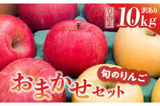 《先行予約》令和6年産 りんご 10kg 訳あり 品種おまかせ 2種類以上 【 サンふじ はるか シナノゴールド 王林 奥州ロマン 陽光 】【令和6年11月下旬以降順次発送】