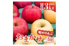 先行予約 令和6年産【定期便/2ヶ月】りんご 訳あり 品種おまかせ 3kg (計6kg) 旬のりんご2種類以上 サンふじ シナノゴールド 王林 はるか 奥州ロマン 陽光【令和6年11月下旬より順次発送】