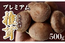 【お試し】菌床生椎茸 プレミアム 500g 野菜 きのこ しいたけ 岩手県 金ケ崎