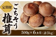 【定期便6ヶ月】ごちそう菌床生椎茸500g (計3kg) 野菜 きのこ しいたけ 岩手県 金ケ崎