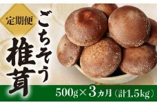 【定期便3ヶ月】ごちそう菌床生椎茸500g (計1.5kg) 野菜 きのこ しいたけ 岩手県 金ケ崎