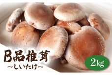 菌床生椎茸 訳あり B品 2kg 野菜 きのこ しいたけ 岩手県 金ケ崎