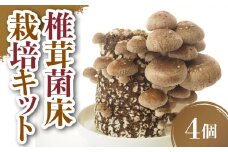 椎茸菌床栽培キット 4個 野菜 きのこ しいたけ 岩手県 金ケ崎