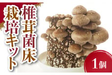 椎茸菌床栽培キット 1個 野菜 きのこ しいたけ 岩手県 金ケ崎