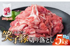 豚肉 切り落とし 小分け 5kg (250g×20) 真空パック 冷凍 笑子豚  岩手県 金ケ崎町 