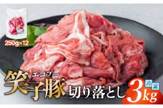 豚肉 切り落とし 小分け 3kg (250g×12) 真空パック 冷凍 笑子豚  岩手県 金ケ崎町