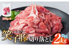 豚肉 切り落とし 小分け 2kg (250g×8) 真空パック 冷凍 笑子豚  岩手県 金ケ崎町