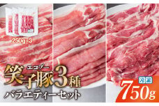 【お試し】豚肉 小分け 真空パック 冷凍 スライス肉 3種 バラエティーセット 750g (250g×3袋)  炒め物/焼肉用(厚さ3mm)  笑子豚 エコブー