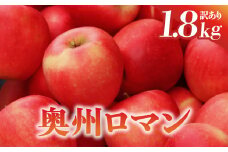 【訳あり】りんご 奥州ロマン 1.8kg 8〜9玉 小ぶり 数量限定 期間限定 高糖度 希少 リンゴ 林檎 フルーツ 果物 金ケ崎町産 岩手県