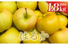 【訳あり】りんご はるか 1.8kg 9〜10玉 小ぶり 数量限定 期間限定 高糖度 希少 リンゴ アップル 林檎 フルーツ 果物 金ケ崎町産 岩手県