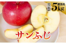 【贈答用】りんご 5kg 16〜18玉 サンふじ 数量限定 期間限定 贈り物 ギフト リンゴ 林檎 フルーツ 果物 スマートフレッシュ 金ケ崎町産 岩手県