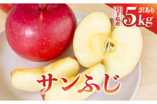 【訳あり】りんご 5kg 16〜18玉 サンふじ 数量限定 期間限定 家庭用 リンゴ 林檎 フルーツ 果物 スマートフレッシュ 金ケ崎町産 岩手県