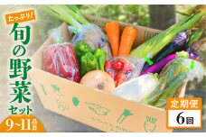 【定期便／6ヶ月】たっぷり旬の野菜セット 9～11品目 季節 旬 春野菜 夏野菜 秋野菜 金ケ崎町 旬 新鮮 野菜 セット 詰め合わせ おまかせ