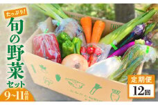 【定期便／12ヶ月】たっぷり旬の野菜セット 9～11品目 季節 旬 春野菜 夏野菜 秋野菜 金ケ崎町 旬 新鮮 野菜 セット 詰め合わせ おまかせ