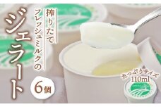 酪農家直納の搾りたてミルク使用！ななつ星ミルクの ジェラート 詰め合わせ 6個 (計660ml) アイス アイスクリーム 濃厚 お取り寄せ スイーツ ご当地スイーツ デザート ギフト