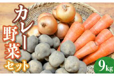 【8月下旬〜9月中旬発送】たまねぎ にんじん じゃがいも 各3kg（計9kg）セット カレー 野菜 玉ねぎ 人参 じゃが芋 詰め合わせ 岩手県 金ケ崎町