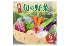 野菜セット お試し 送料無料 6品程度 詰め合わせ 新鮮野菜 おまかせ 季節 旬 春野菜 夏野菜 秋野菜 いわて 金ケ崎町 新鮮野菜 たっぷり やさい BBQ 満喫 新鮮 野菜生活 831 グリーンサラダ 中華 国産 野菜 高騰 2024 一人暮らし 岩手県 iwate
