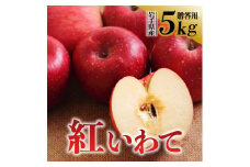 令和6年産 りんご 紅いわて 贈答用 5kg 岩手県 金ケ崎町産 