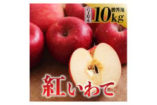 令和6年産 りんご 紅いわて 贈答用 10kg 岩手県 金ケ崎町産