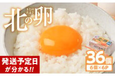 【発送予定日がわかる!】 卵 たまご 36個 卵焼き 卵スープ 卵かけご飯 鶏 小分け お試し 配送 エッグショック フードロス 対策 支援 就労支援 障がい者支援 北の卵 タマゴ エッグ 生たまご 生卵 生玉子 玉子 定期便 もございます