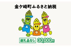 金ケ崎町 ふるさと納税 返礼品なし 【30,000円寄附】