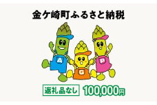 金ケ崎町 ふるさと納税 返礼品なし 【100,000円寄附】