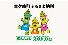 金ケ崎町 ふるさと納税 返礼品なし 【300,000円寄附】