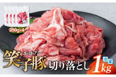 豚肉 切り落とし 小分け 1kg (250g×4) 真空パック 細切れ 豚こま肉 冷凍 笑子豚  お試し 便利 岩手県 金ケ崎町