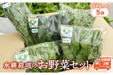 【定期便2回】【水耕栽培】野菜 詰め合わせ 合計 5袋 ( レタス チンゲン菜 小松菜 山東菜 水菜 わさび菜 ） 3 ～ 5種類 各 250g 詰合せ おまかせ セット みずみず やさい 葉物 障がい者支援 就労支援 支援 応援 福祉 岩手県 金ケ崎町