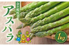 【数量限定】アスパラガス 1kg (約30〜50本) M/Lサイズ 混合  よこみちファーム 野菜 春野菜 新鮮 名産 名品  希少