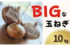 【数量限定】BIGな 玉ねぎ たまねぎ 10kg 訳あり 新鮮  常温 令和7年7月〜9月発送