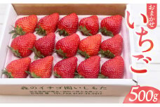 【先行予約】 いちご 500g 品種おまかせ とちおとめ 紅ほっぺ やよいひめ さちのか 令和8年産 1月中旬〜3月発送 贈答用 ギフト イチゴ 苺 ストロベリー 旬 数量限定 岩手県 金ケ崎町