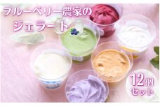 ブルーベリー農家のジェラート 12個パック（自家製ミニソース付き）/ ジェラート シャーベット アイス アイスクリーム デザート スイーツ スウィーツ カップアイス KOZENJIcafé
