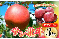 【10月下旬頃より順次発送】大文字りんご園 サン北斗 約3kg (7～10玉) / 樹上完熟 りんご リンゴ 林檎 果物 くだもの フルーツ 甘い 旬 産地直送 【dma513-sh-3D】