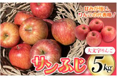 人気no.1！【12月上旬～順次発送】大文字りんご園 サンふじ 小玉サイズ 約5kg (約18~20玉)  樹上完熟 りんご リンゴ 林檎 果物 くだもの フルーツ 甘い 旬 産地直送  【dma513-sf-5D】