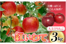 【9月下旬頃より順次発送】大文字りんご園 紅いわて 約3kg(7～10玉) / りんご リンゴ 林檎 果物 くだもの フルーツ 甘い 旬 産地直送【dma513-bi-3C】