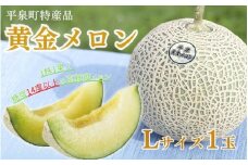 【令和7年度分予約受付】平泉黄金メロン 1玉 Lサイズ 約1.5kg 【2025年8月下旬以降より発送】/  メロン マスクメロン 果物 くだもの フルーツ 甘い 旬 産地直送 予約 先行予約 